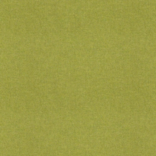 Earth design in Lime by Moon.