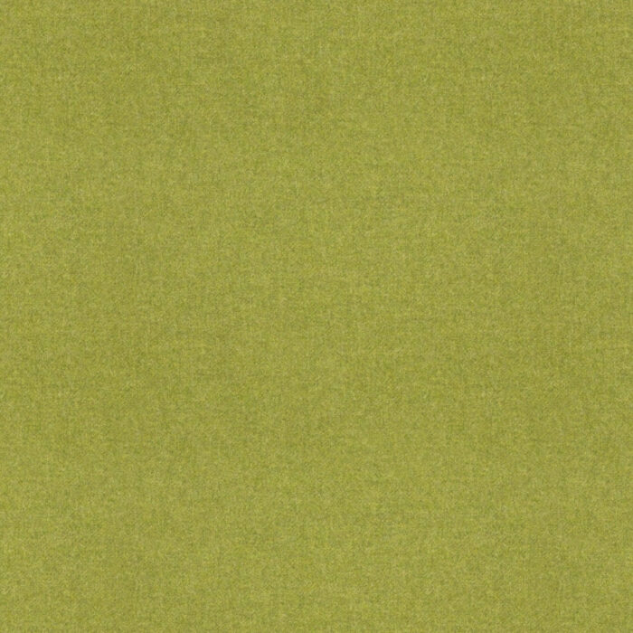 Earth design in Lime by Moon.